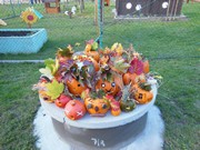 Veselé dýňování s rodiči